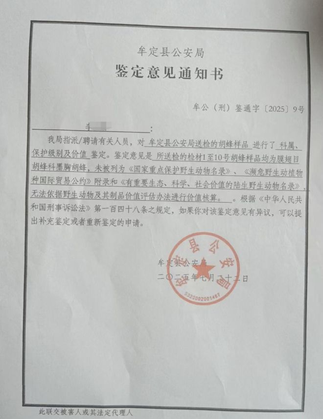 熟悉的面孔回归：蒂姆重新复出职业体育！只是这次换了项运动