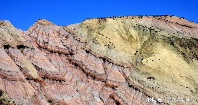 球迷点赞“联合水务·宿货优品 苏超大集”:接地气、有人气