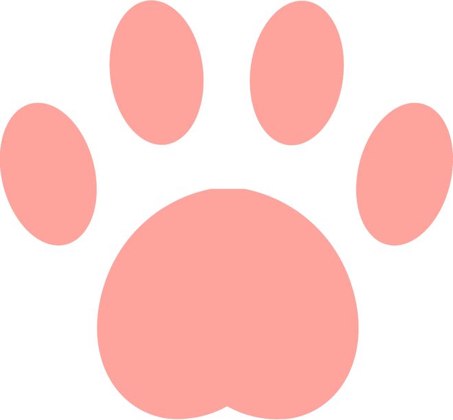 1比1重庆!成都蓉城凌晨1点正式官宣,阿洛伊西点评,费利佩表态