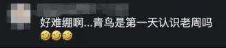面对卫冕冠军 打得很好还不够 辛纳完美发挥淘汰德约 决赛迎战兹维列夫
