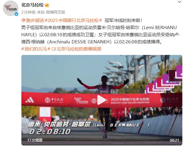 卢卡库造乌龙比利时1