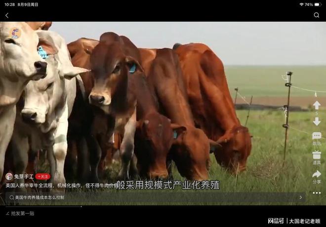 吉鲁:普利希奇让我想到了阿扎尔,但有时他给自己的压力太大