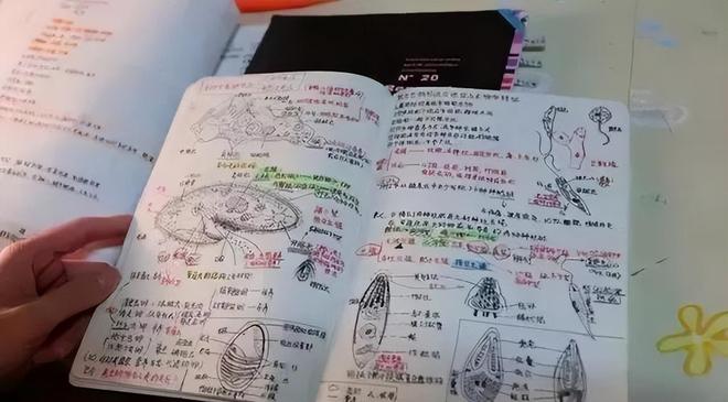 阿利亚西姆心魔难破止步法网八强
