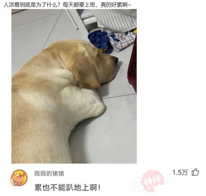 正式确定！CBA明星内线离队，拒绝顶薪合同