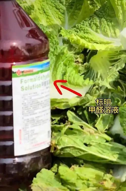 欧冠榜首大战!数据:巴萨神锋复出 欲斩大巴黎