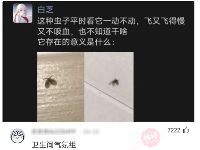 正式确定！CBA明星内线离队，拒绝顶薪合同