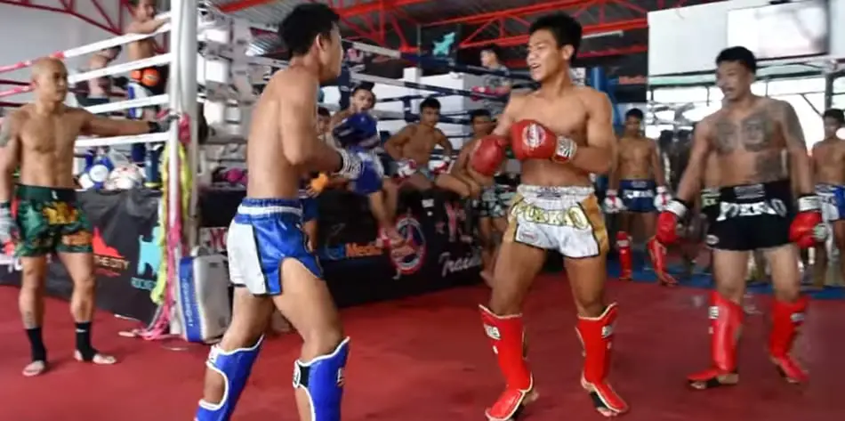 Muay Thai Sparring